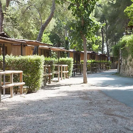 喀里多尼亚露营酒店 营地 塔马里特