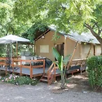 Caledonia タマリット
